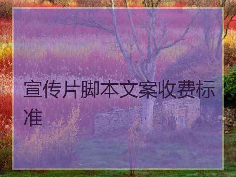 宣传片脚本文案收费标准