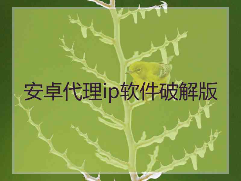 安卓代理ip软件破解版
