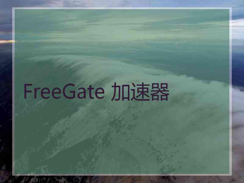 FreeGate 加速器