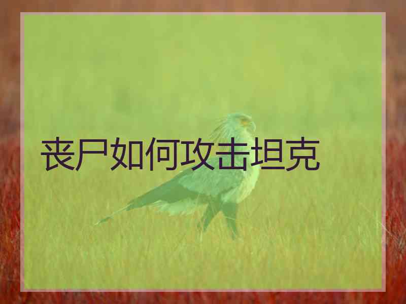 丧尸如何攻击坦克