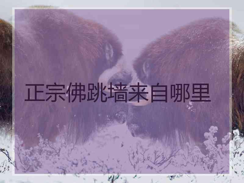 正宗佛跳墙来自哪里
