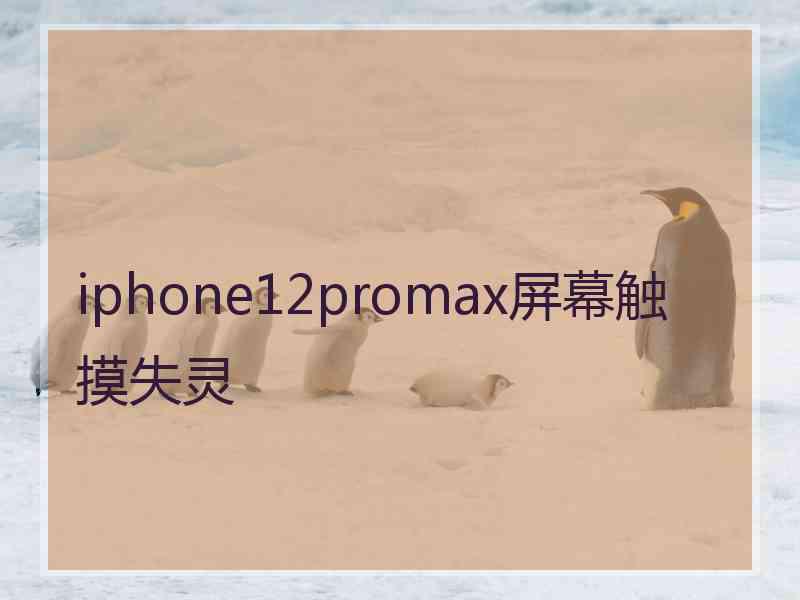 iphone12promax屏幕触摸失灵