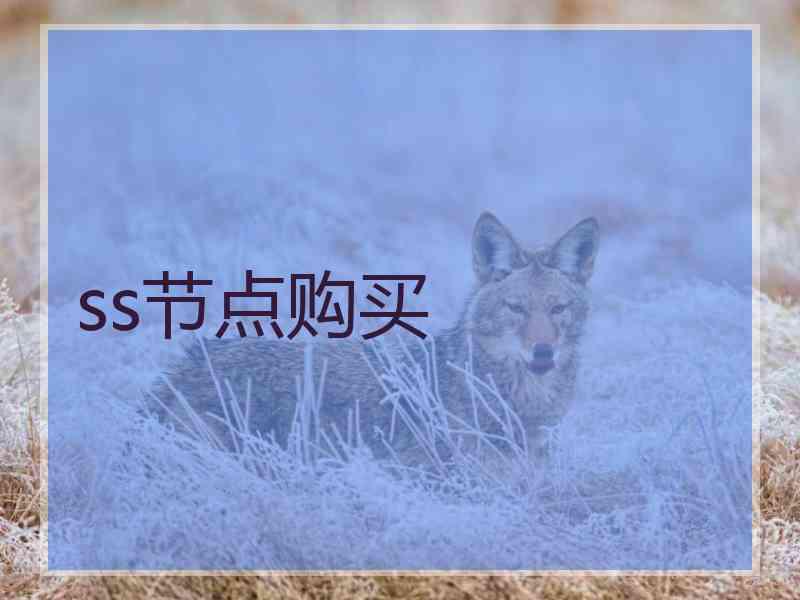 ss节点购买