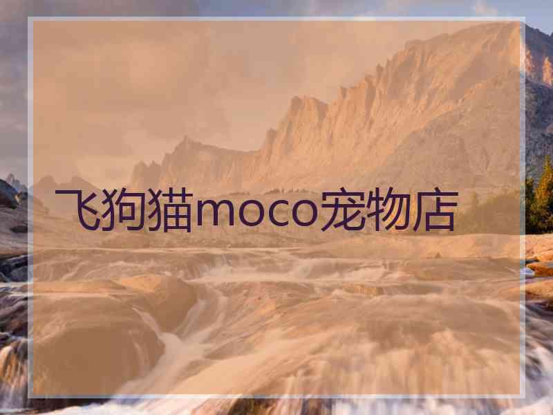 飞狗猫moco宠物店