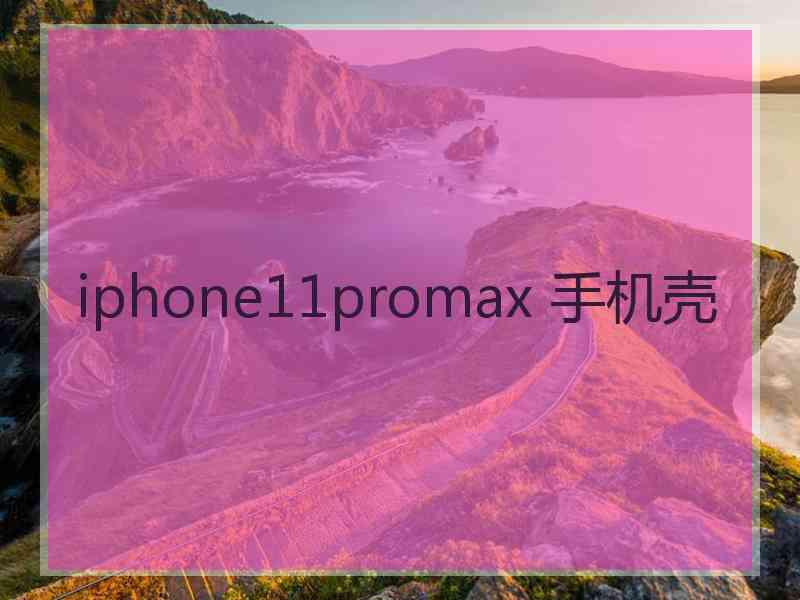 iphone11promax 手机壳