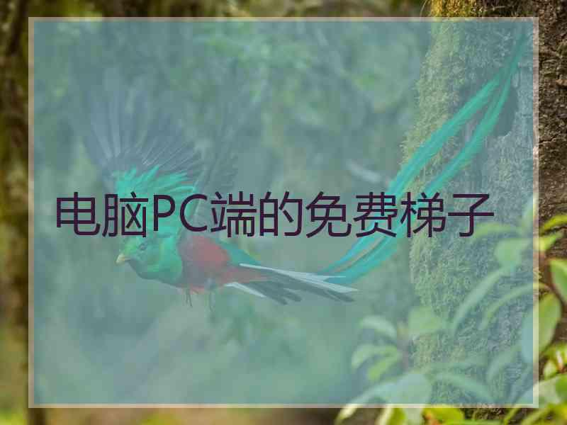 电脑PC端的免费梯子