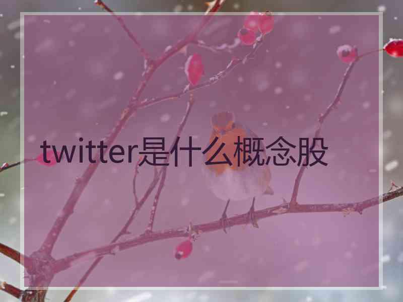 twitter是什么概念股