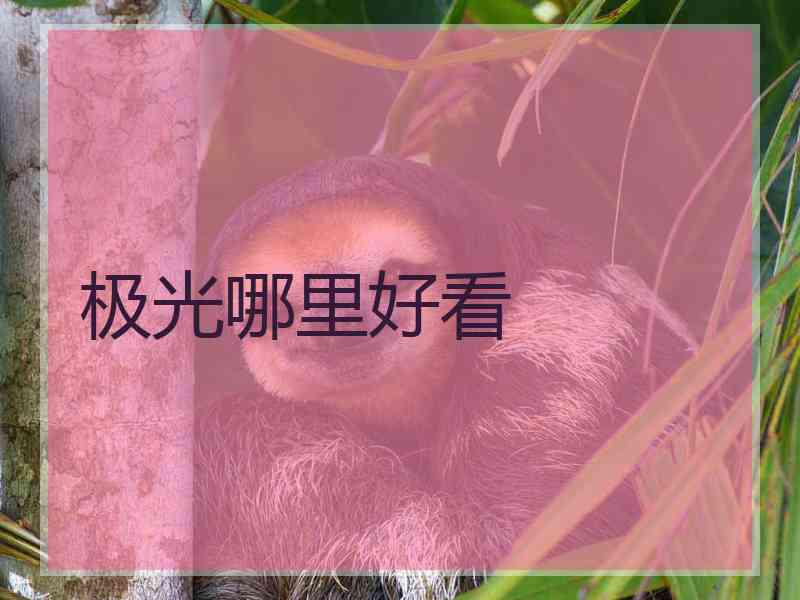 极光哪里好看