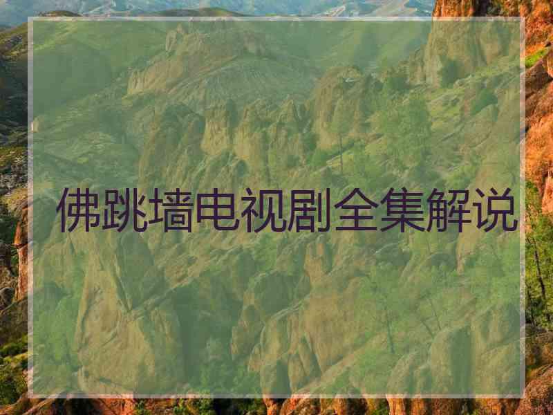 佛跳墙电视剧全集解说