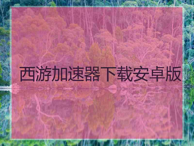 西游加速器下载安卓版