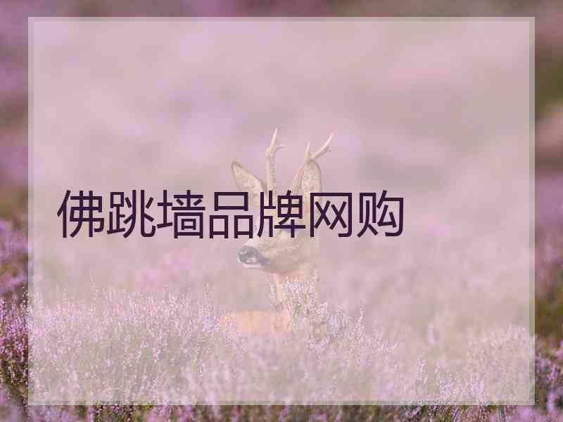 佛跳墙品牌网购