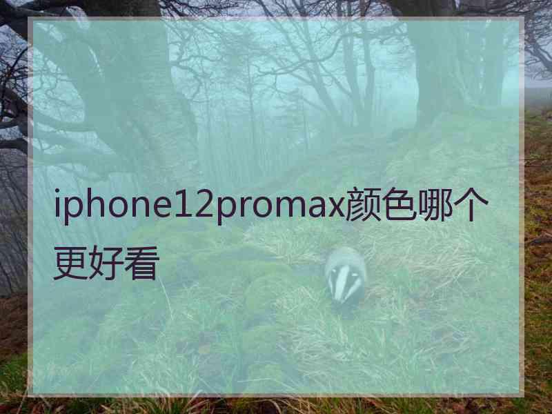 iphone12promax颜色哪个更好看