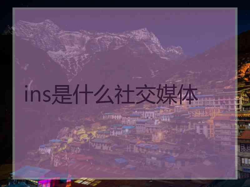 ins是什么社交媒体