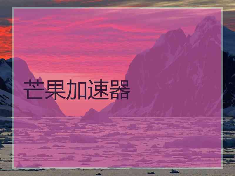 芒果加速器