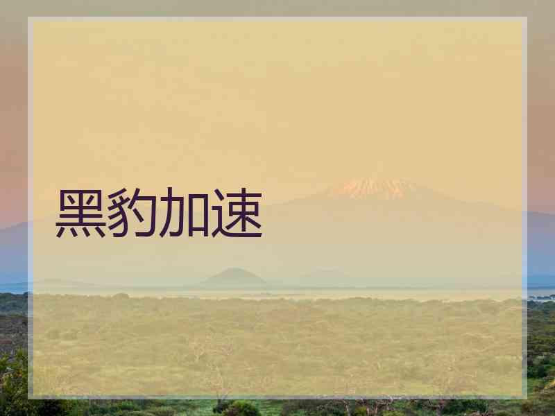 黑豹加速