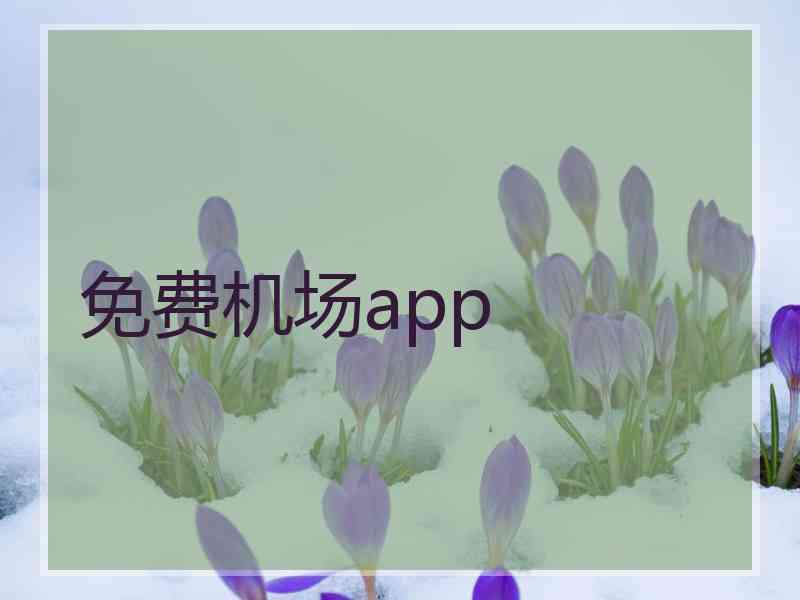 免费机场app