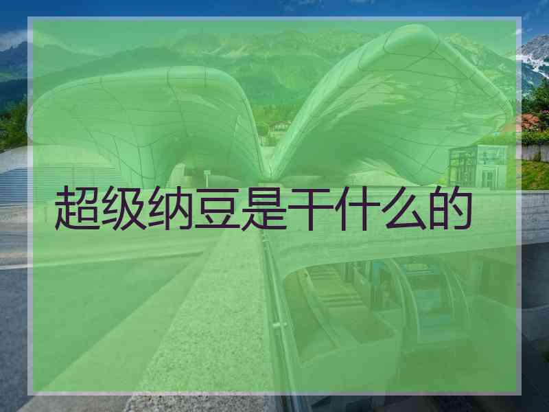 超级纳豆是干什么的