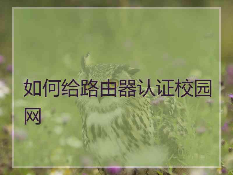 如何给路由器认证校园网