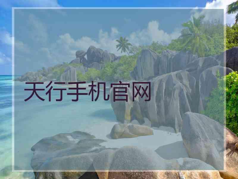 天行手机官网