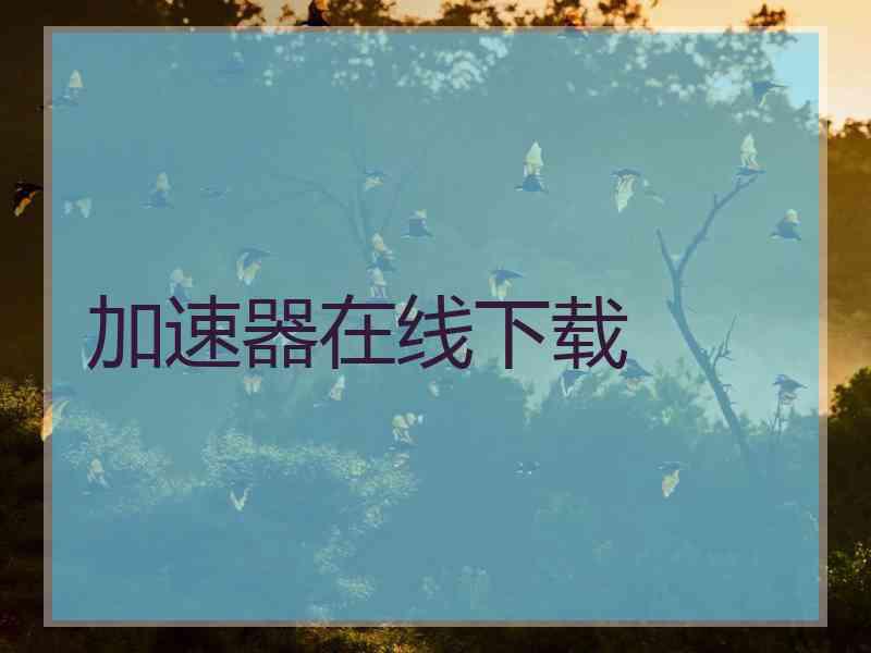 加速器在线下载