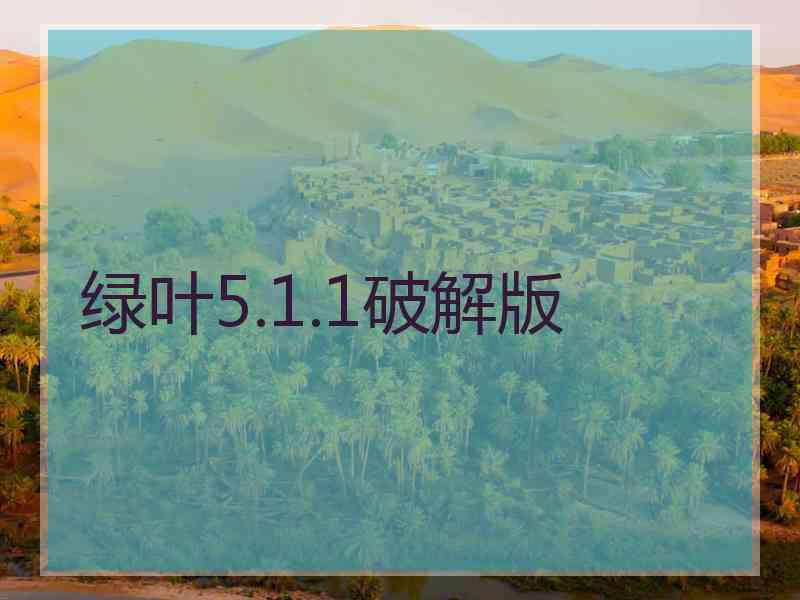 绿叶5.1.1破解版