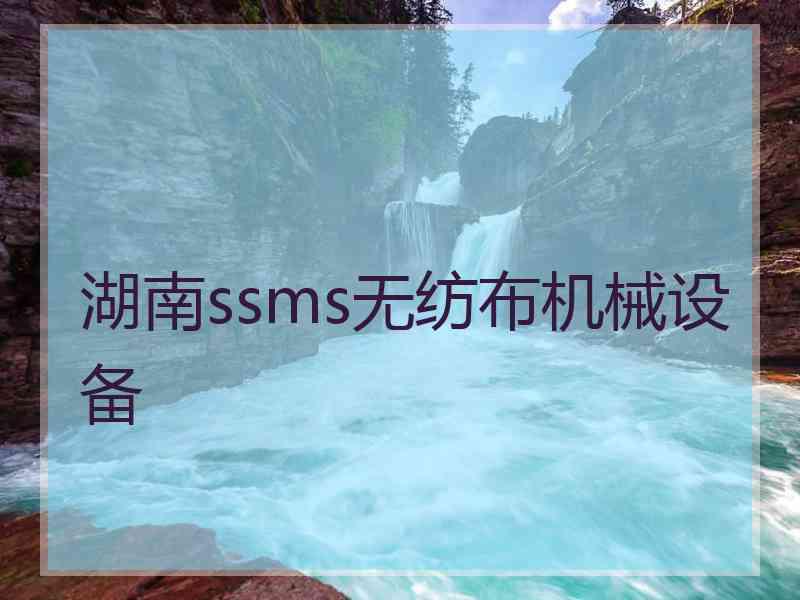 湖南ssms无纺布机械设备