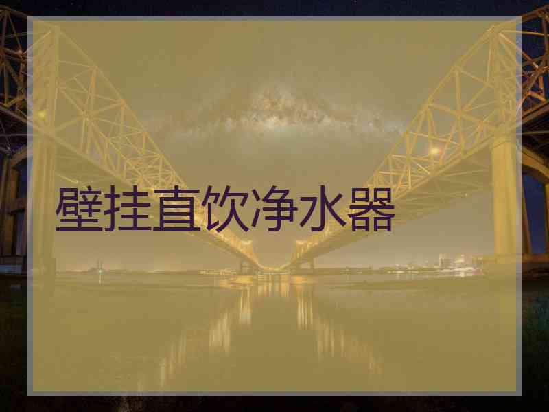 壁挂直饮净水器