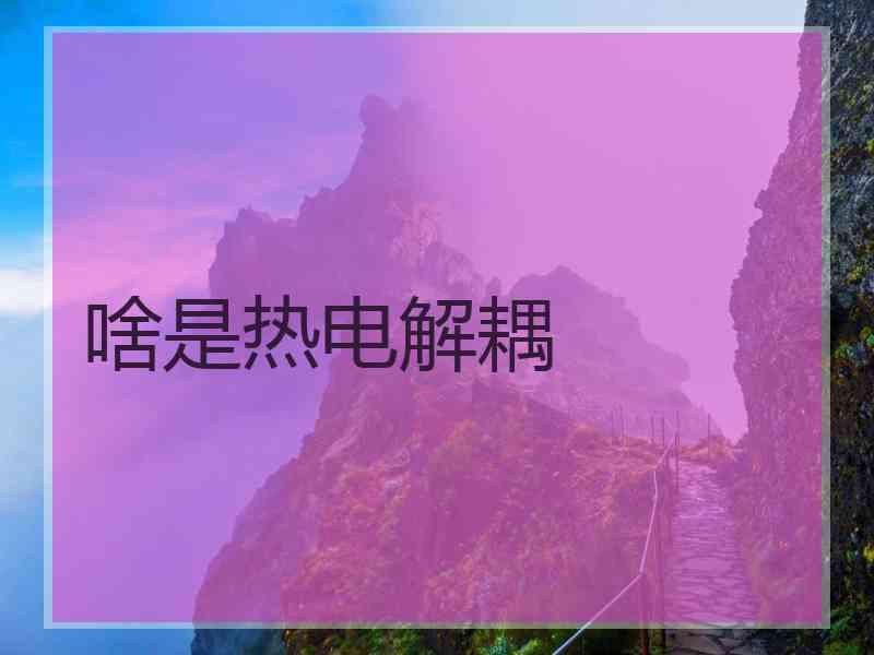 啥是热电解耦