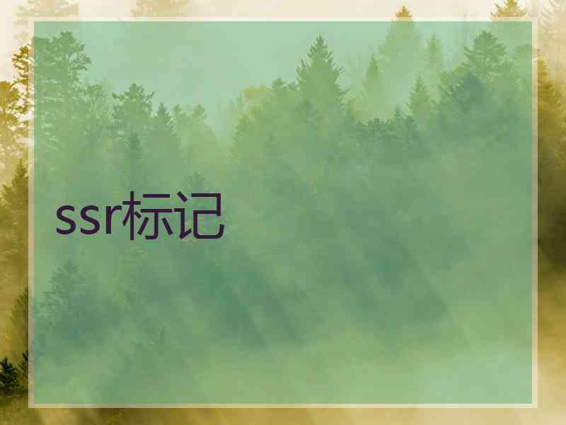 ssr标记