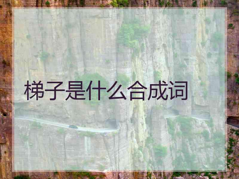 梯子是什么合成词