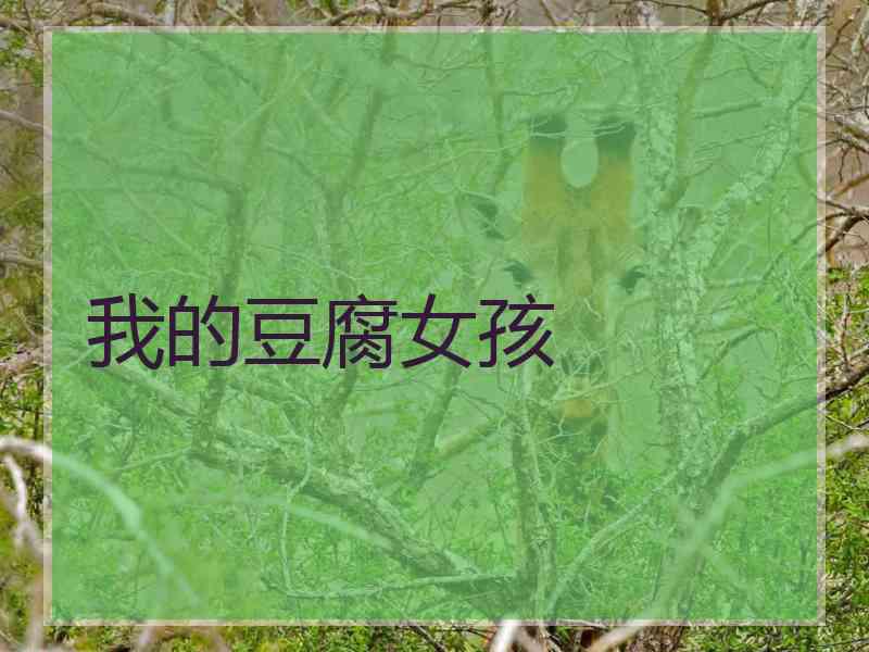 我的豆腐女孩