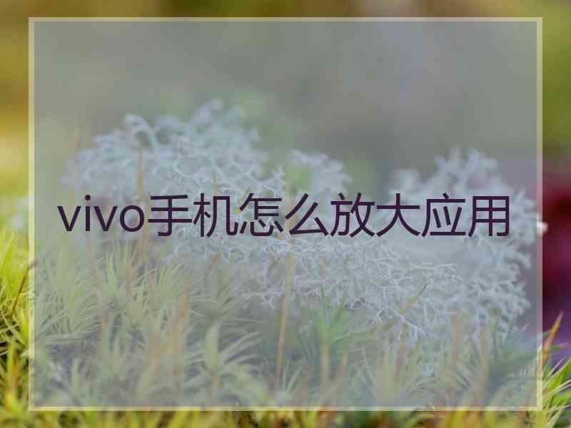 vivo手机怎么放大应用