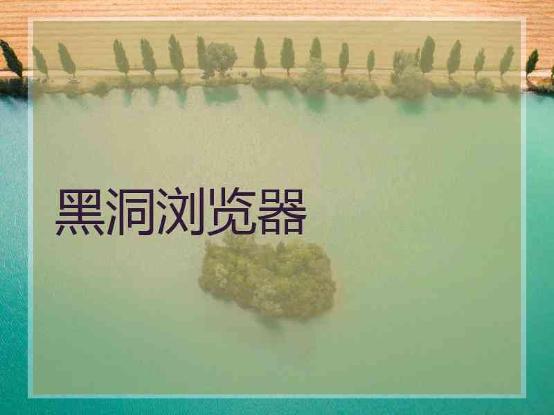 黑洞浏览器