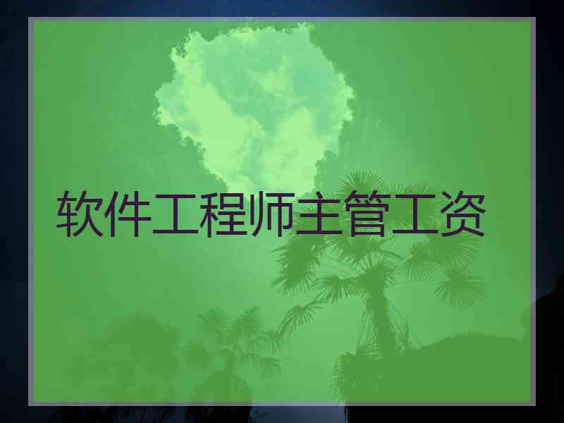 软件工程师主管工资