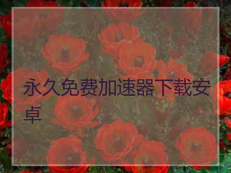 永久免费加速器下载安卓