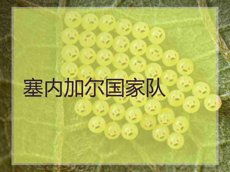塞内加尔国家队