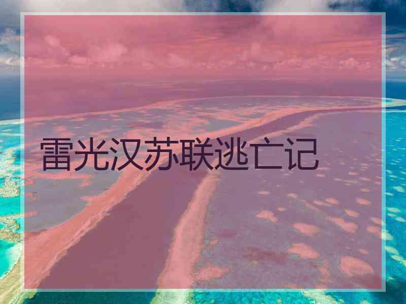 雷光汉苏联逃亡记