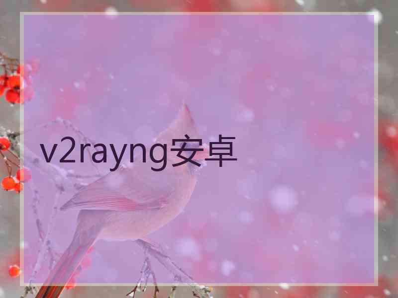 v2rayng安卓
