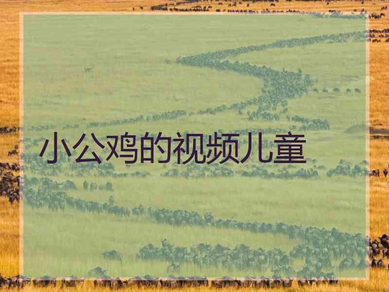 小公鸡的视频儿童