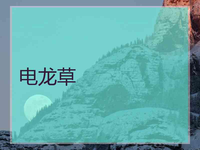 电龙草