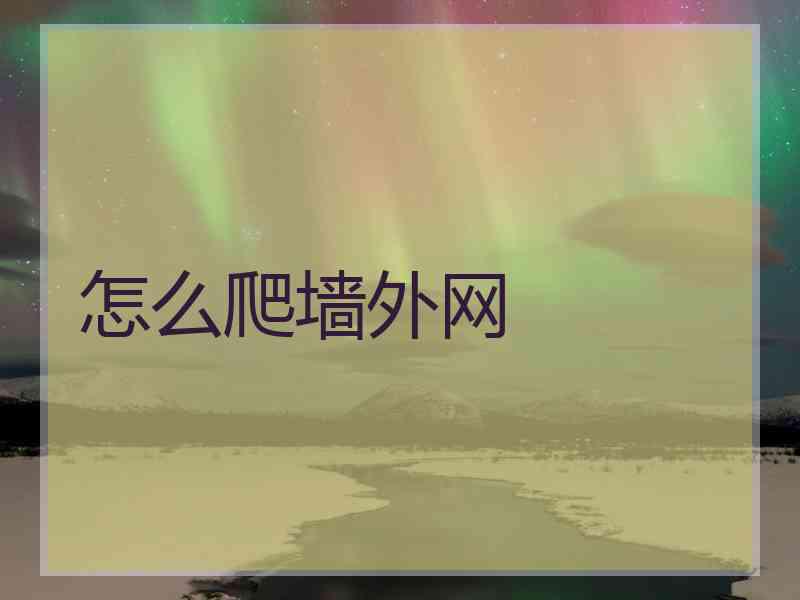 怎么爬墙外网