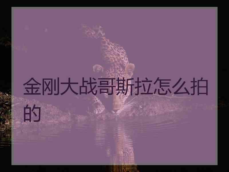金刚大战哥斯拉怎么拍的