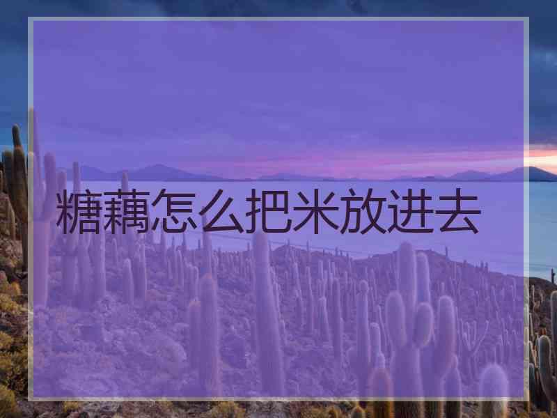 糖藕怎么把米放进去