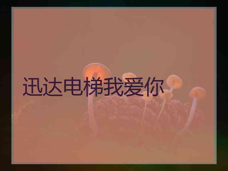 迅达电梯我爱你