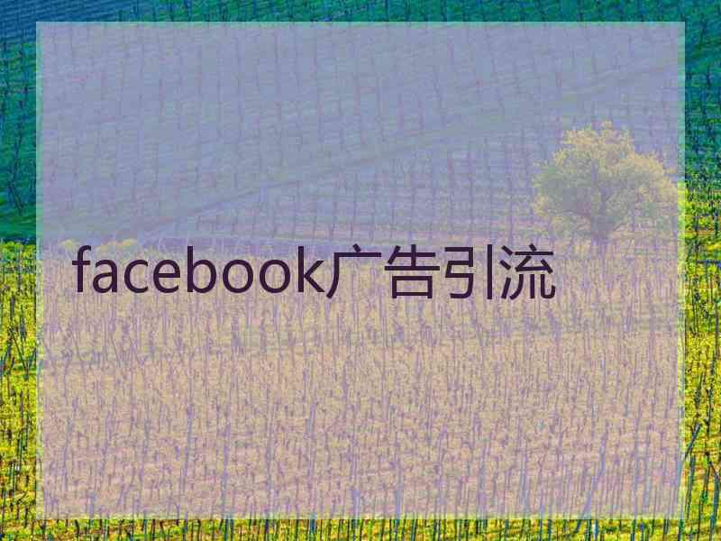 facebook广告引流