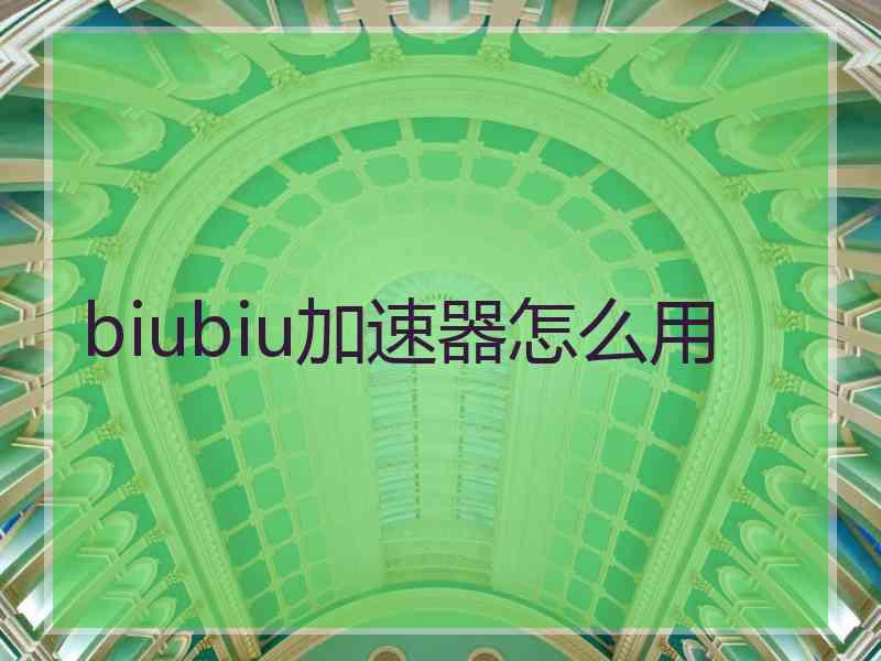biubiu加速器怎么用