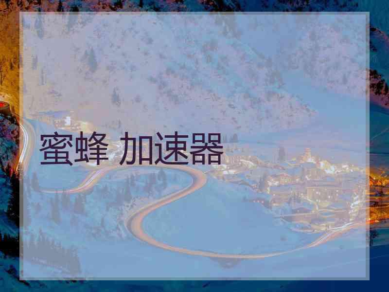 蜜蜂 加速器