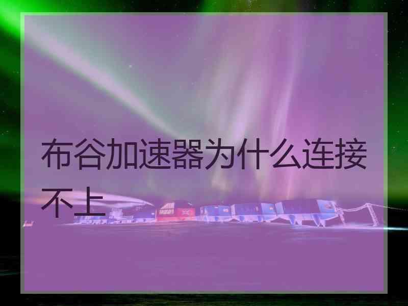 布谷加速器为什么连接不上