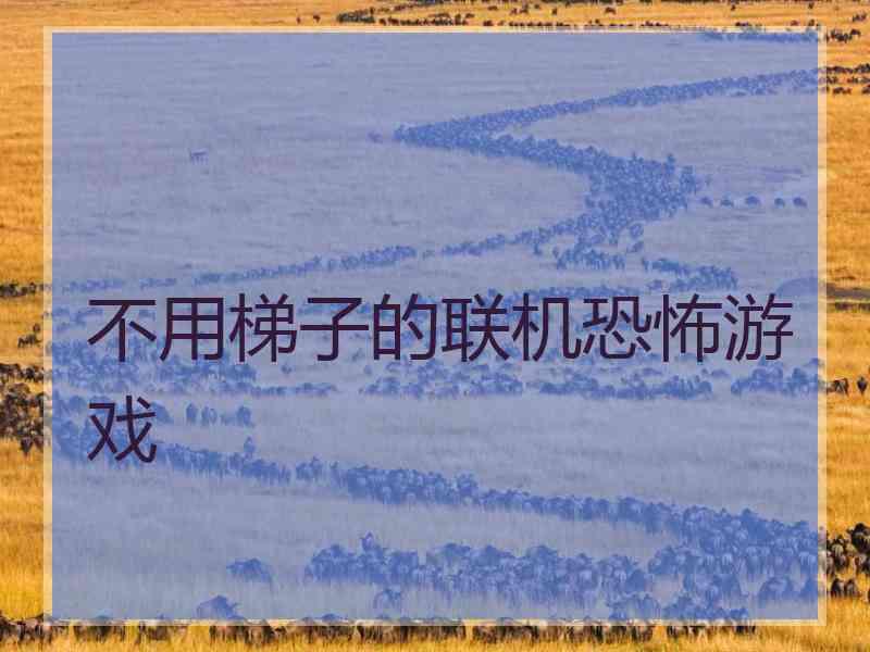 不用梯子的联机恐怖游戏