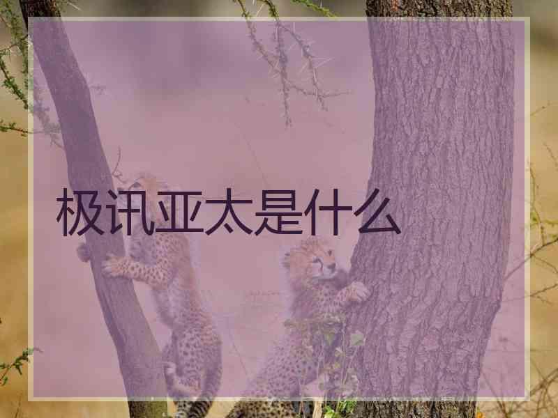 极讯亚太是什么